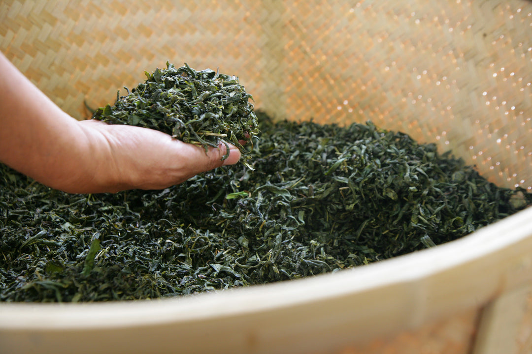 High Quality Custom Sencha Loose Leaf Green Tea Bags - CasaCafé