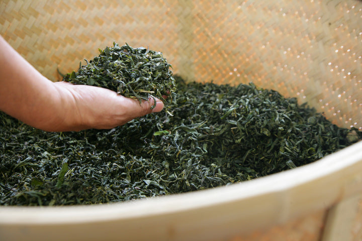 High Quality Custom Sencha Loose Leaf Green Tea Bags - CasaCafé